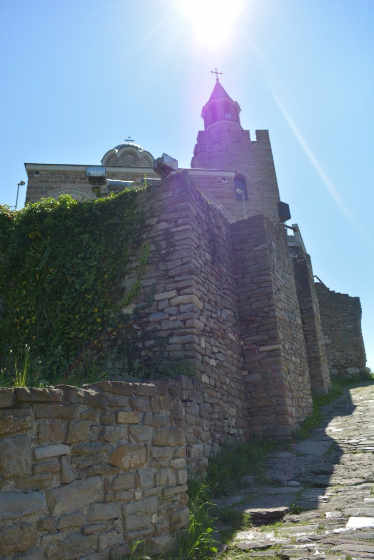 dsc 0002