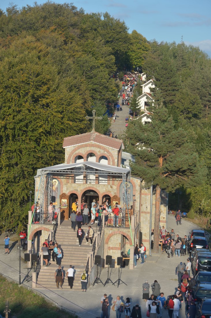dsc 5371